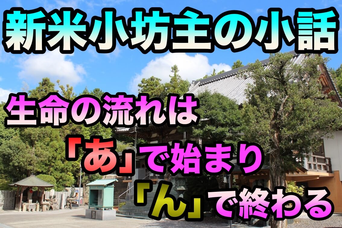 新米小坊主の小話 あ で始まり ん で終わる言葉に込めた思い